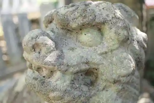 筑波山神社の狛犬