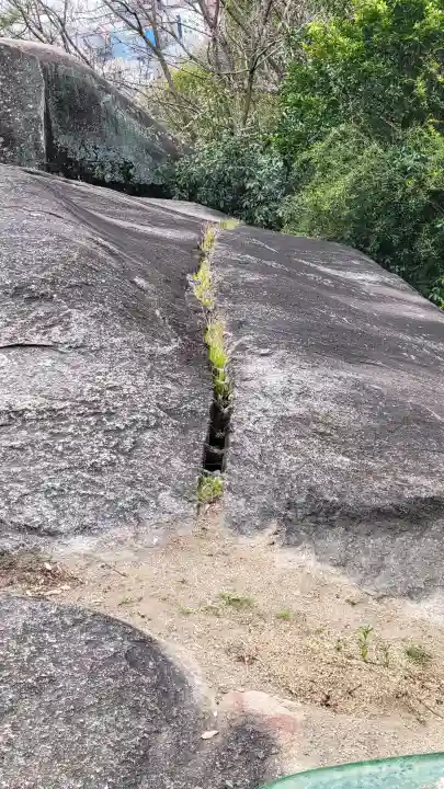 千光寺の{uncategorized: "未分類", other: "その他", undefined: "問題あり", building: "その他建物", grave: "お墓", sacred_gate: "鳥居", guardian: "狛犬", statue: "像", buddha: "仏像", history: "歴史", nature: "自然", garden: "庭園", animal: "動物", pagoda: "塔", temizu: "手水舎", mountain_gate: "山門・神門", sanctuary: "本殿・本堂", subordinate: "末社・摂社", art: "芸術", scenery: "景色", jizo: "地蔵", ema: "絵馬", goshuin: "御朱印", omikuji: "おみくじ", items: "授与品その他", amulet: "お守り", goshuincho: "御朱印帳", eats: "食事", festival: "お祭り", votive_dance: "神楽", shichigosan: "七五三参", wedding: "結婚式", experience: "体験その他", initially: "初詣", around: "周辺", anti_infection: "感染症対策"}