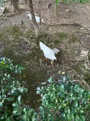 伊勢神宮内宮(三重県)