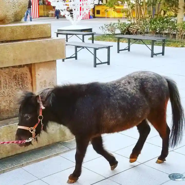 神田神社(神田明神)の動物
