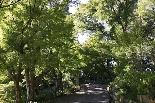 柳谷観音　楊谷寺(京都府)