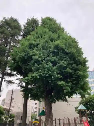 圓能寺(東京都)