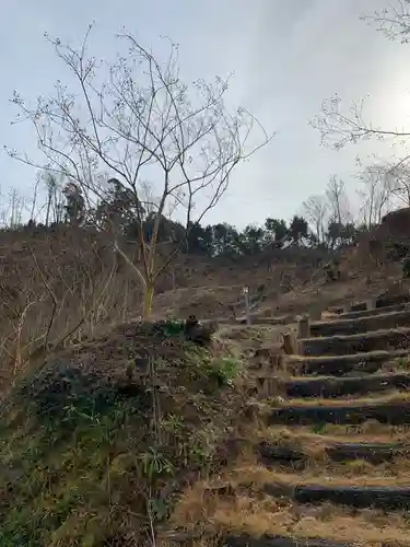金比羅神社の自然