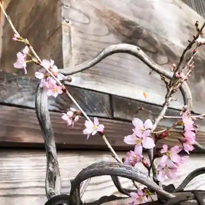 高司神社〜むすびの神の鎮まる社〜(福島県)