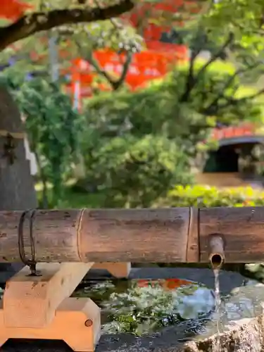 賀茂別雷神社（上賀茂神社）の手水舎
