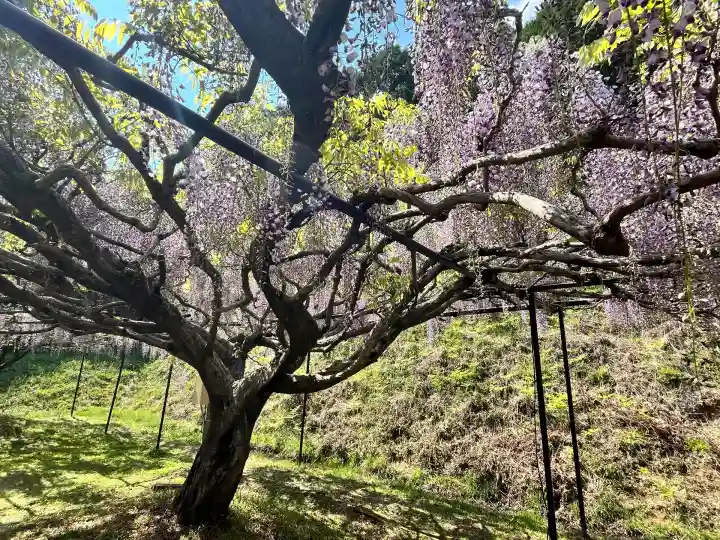 天台宗 五大山 白毫寺(兵庫県)