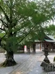 和霊神社の自然