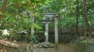 木嶋坐天照御魂神社の鳥居