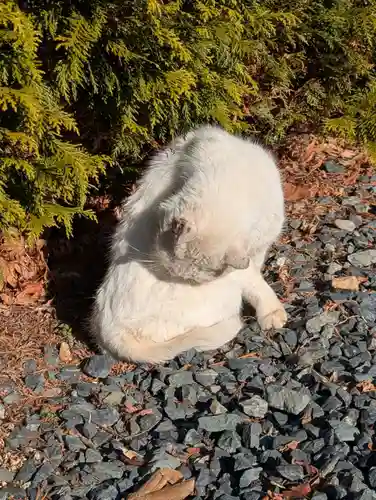 盛岡八幡宮(岩手県)