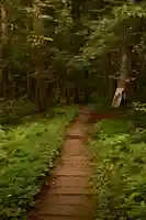 天命稲荷神社の自然