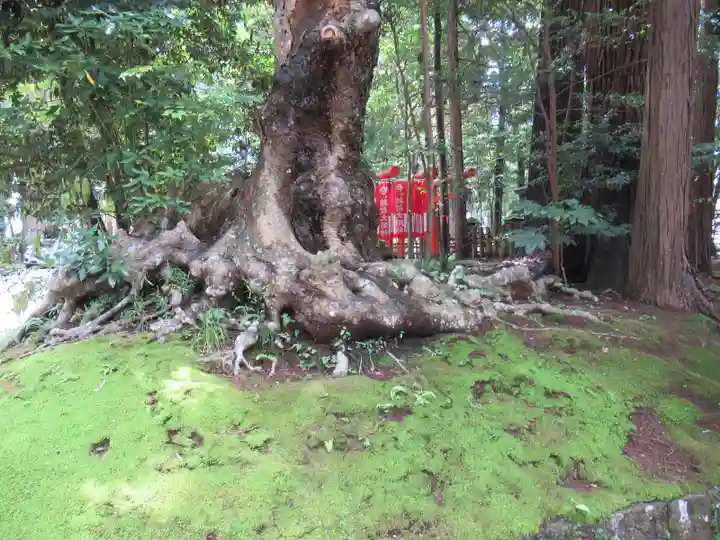 鹿島神宮のその他建物