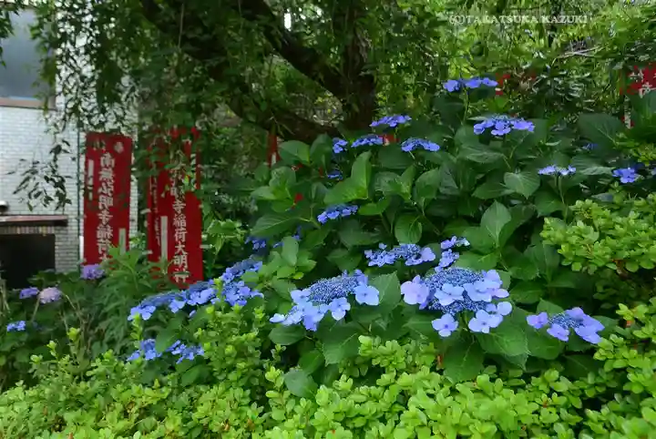 弘明寺(神奈川県)