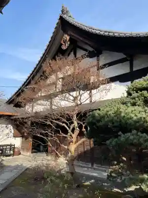 観智院（東寺子院）(京都府)