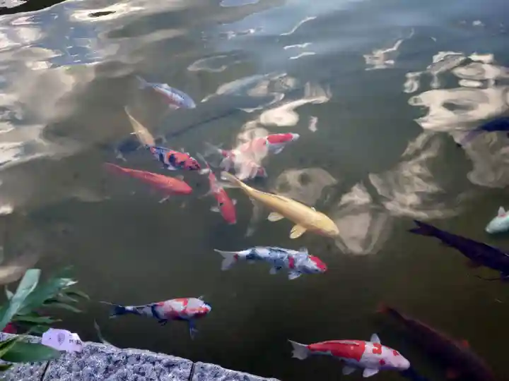 勝尾寺(大阪府)