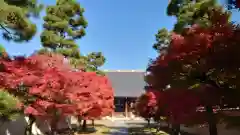 妙顯寺（妙顕寺）(京都府)