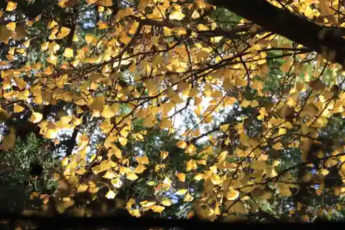 王子神社の自然