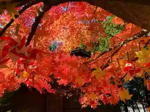 滑川神社 - 仕事と子どもの守り神の自然(2023年12月06日(水) 14時22分23秒投稿)