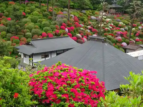 塩船観音寺の自然