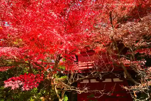 本土寺(千葉県)