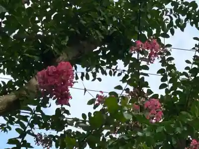 国宝 大法寺(長野県)