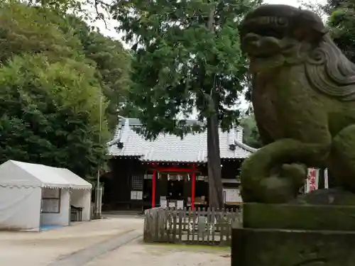 中山神社の狛犬