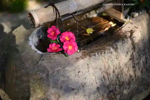 葛原岡神社(神奈川県)