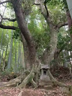 星宮神社(千葉県)