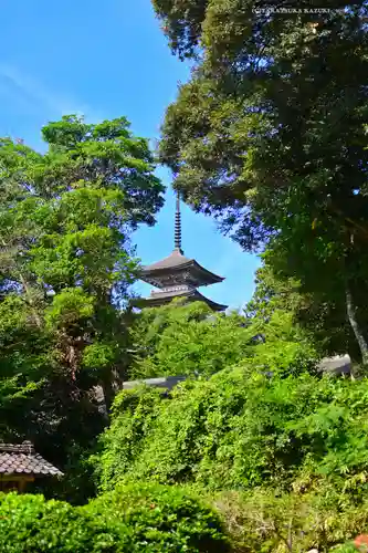 妙成寺(石川県)