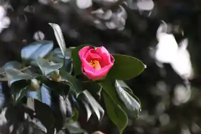 鹿島大神宮(福島県)