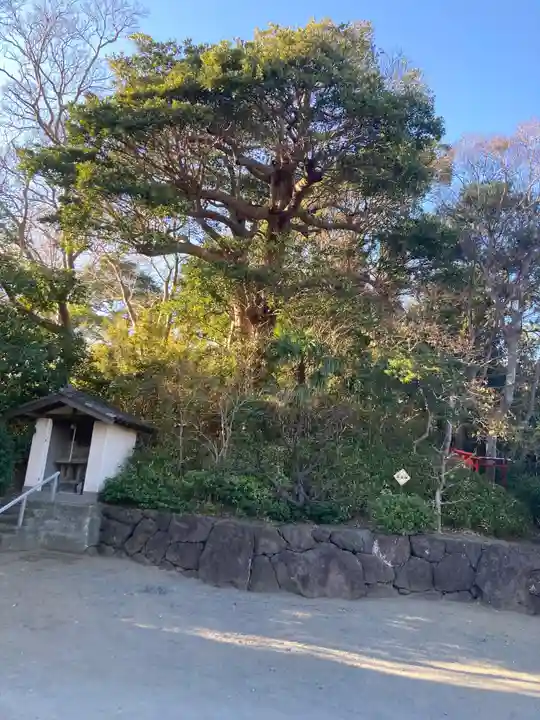 玉蔵院(神奈川県)