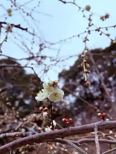 大縣神社(愛知県)