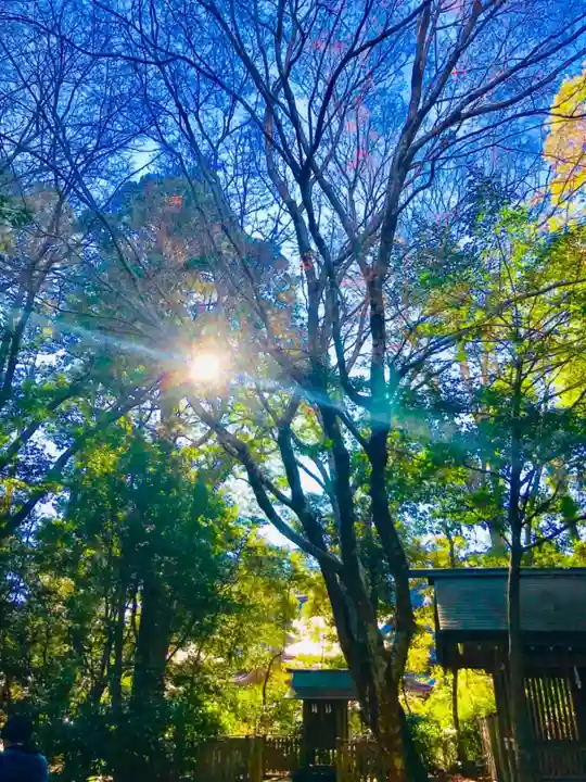 鹿島神宮の自然