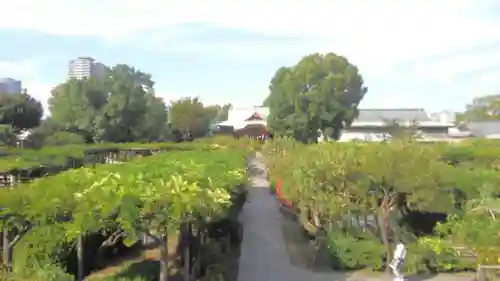 亀戸天神社の庭園