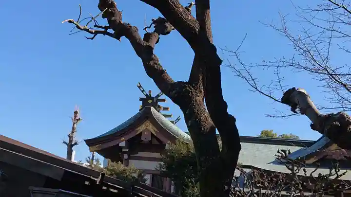 白鬚神社のその他建物
