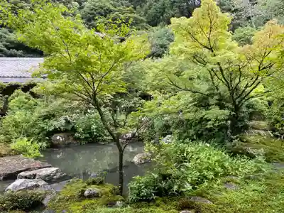 実相院門跡(京都府)