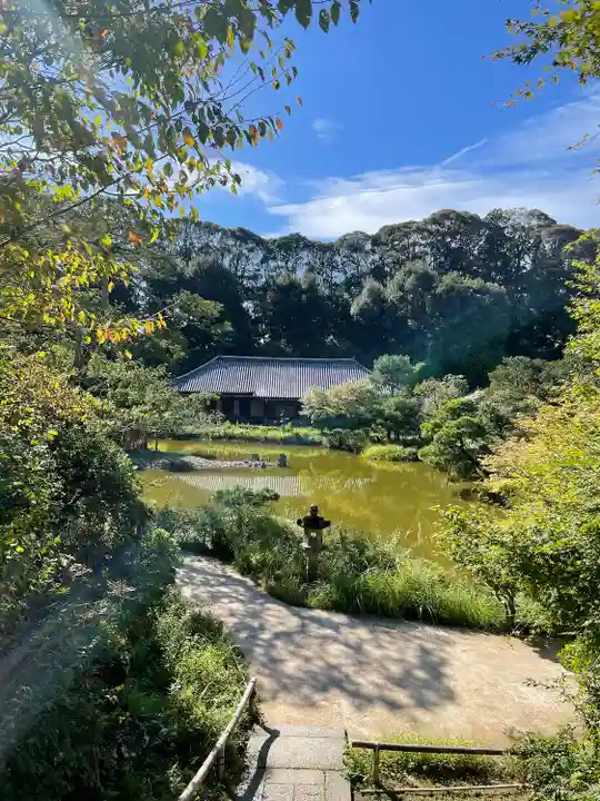 浄瑠璃寺(京都府)