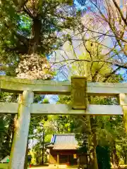 岡見八坂神社(茨城県)