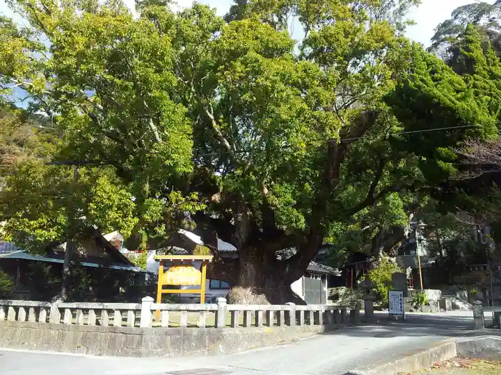 土肥神社のその他建物