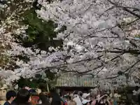 上野東照宮の自然