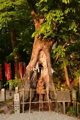 秩父今宮神社(埼玉県)
