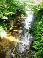 東勝寺跡の自然