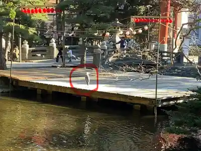 平塚八幡宮(神奈川県)