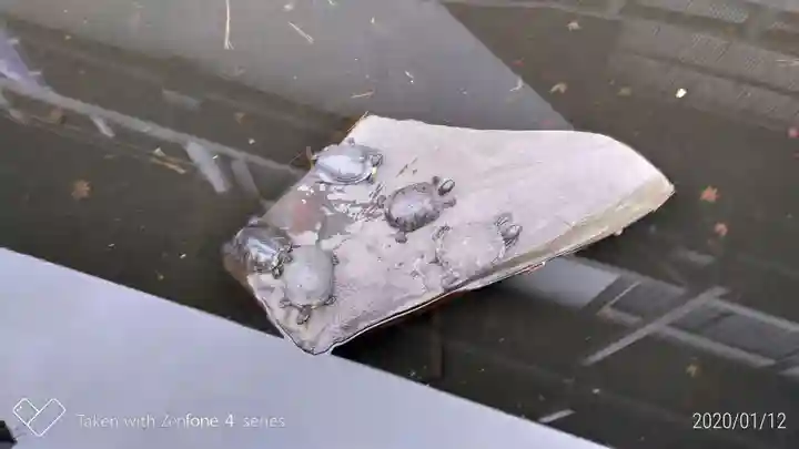 成田山川越別院のその他建物