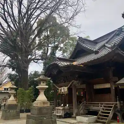 田無神社の本殿・本堂