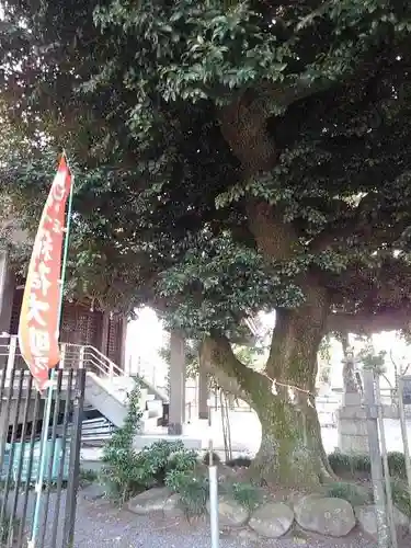 稲荷神社の庭園