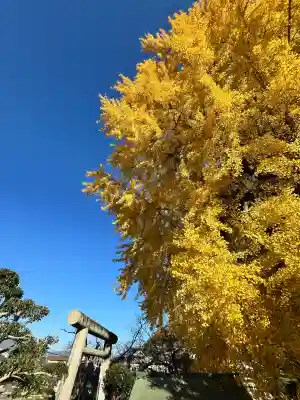 丹生酒殿神社(和歌山県)