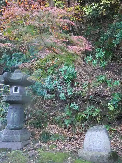 安國論寺(安国論寺)の景色