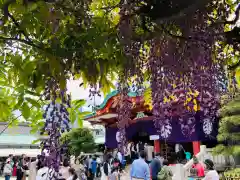 日枝神社の庭園