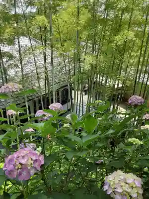 長谷寺(神奈川県)