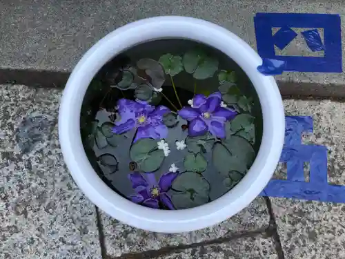 徳島眉山天神社の手水舎